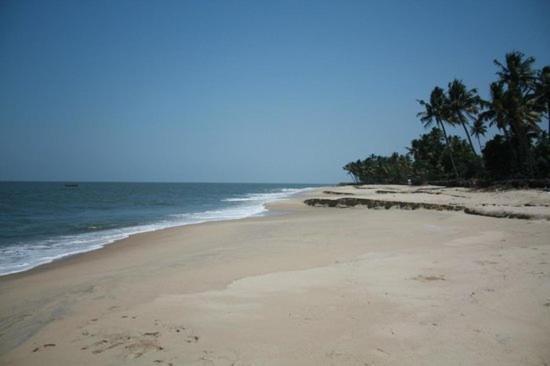 Bed and Breakfast Fool'S Paradise Alappuzha Exteriér fotografie